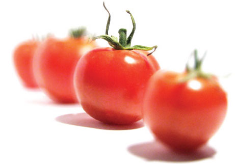 Ensalada simple de tomate